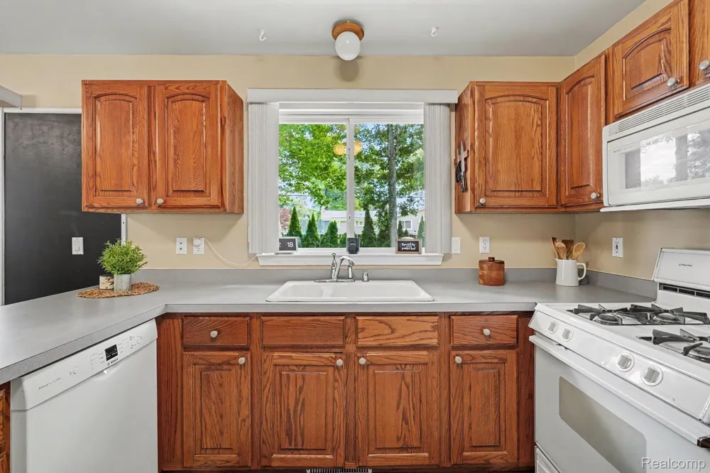 6290 Waldon Woods Drive Independence Charter Township, MI 48346