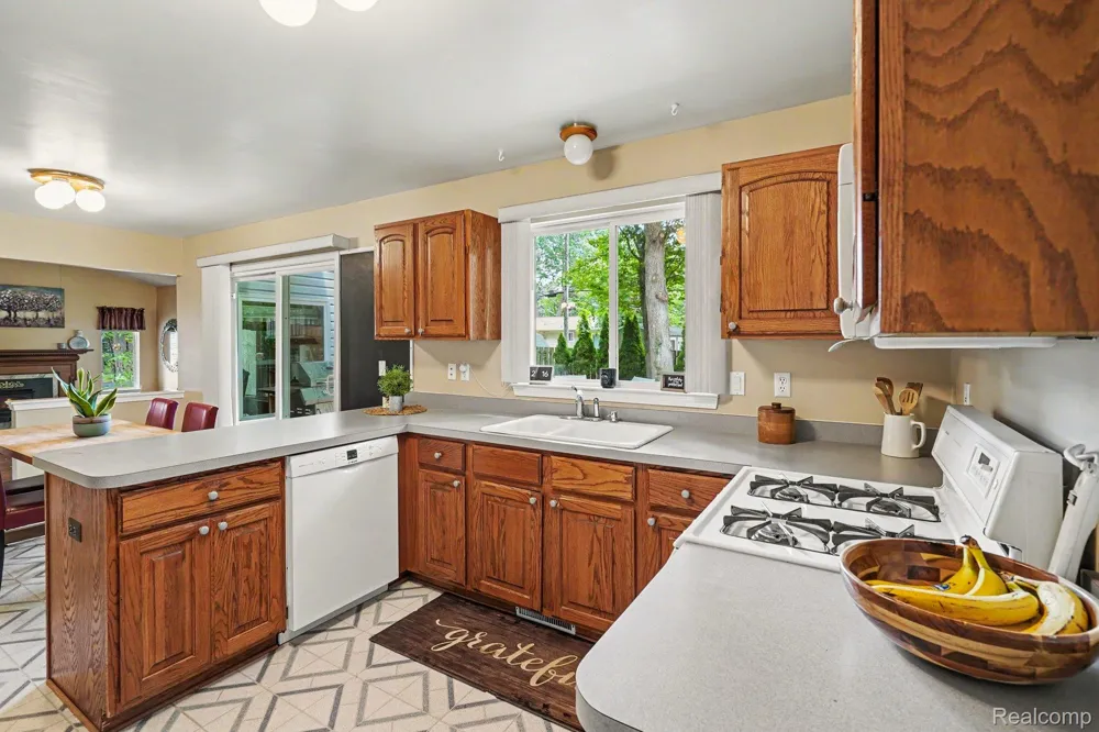 6290 Waldon Woods Drive Independence Charter Township, MI 48346