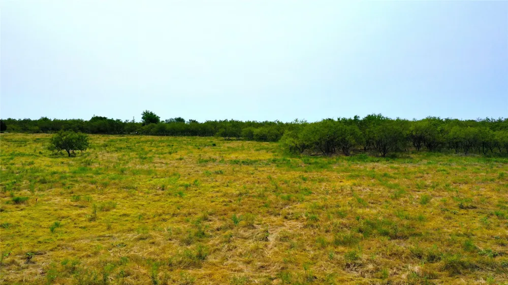Co Rd 136 Terrell, TX 75161