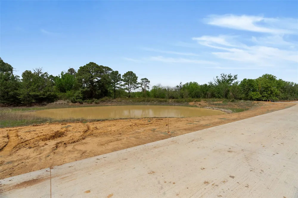 1111 Ellen Donald Lane Argyle, TX 76226