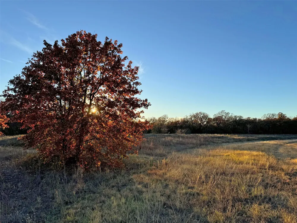1111 Ellen Donald Lane Argyle, TX 76226
