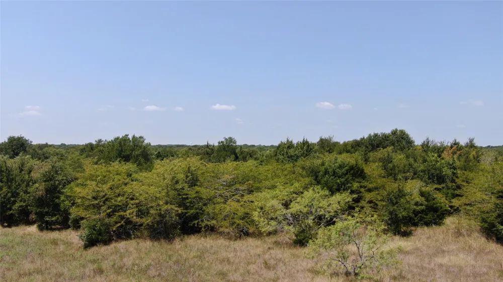 FM 47 Wills Point, TX 75169