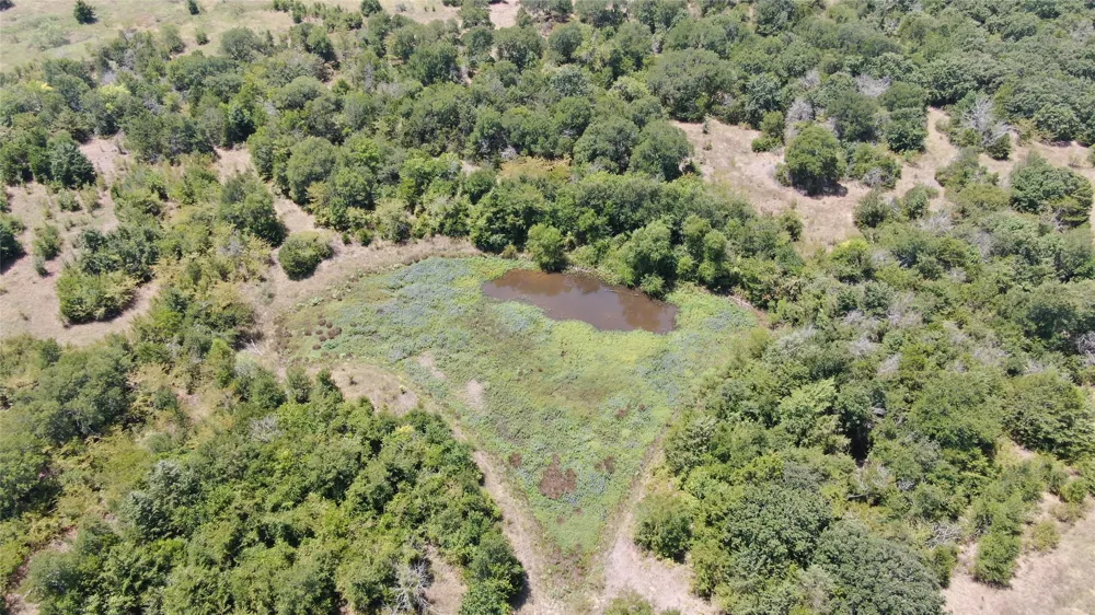 FM 47 Wills Point, TX 75169