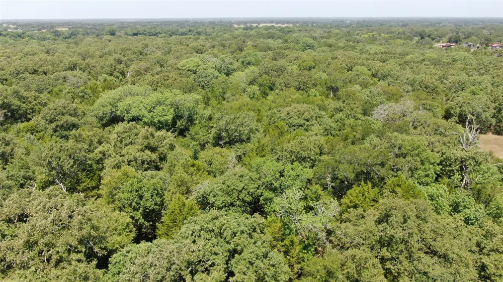FM 47 Wills Point, TX 75169