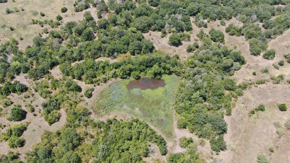 FM 47 Wills Point, TX 75169