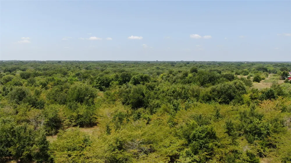 FM 47 Wills Point, TX 75169