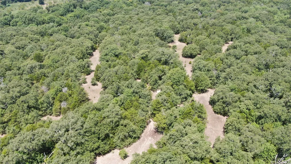 FM 47 Wills Point, TX 75169