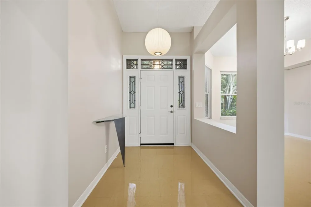 16416 WINDSOR PARK DRIVE Lutz, FL 33549