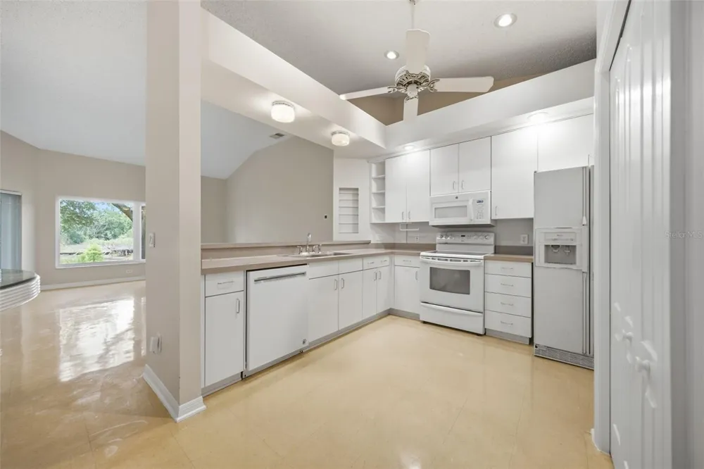 16416 WINDSOR PARK DRIVE Lutz, FL 33549