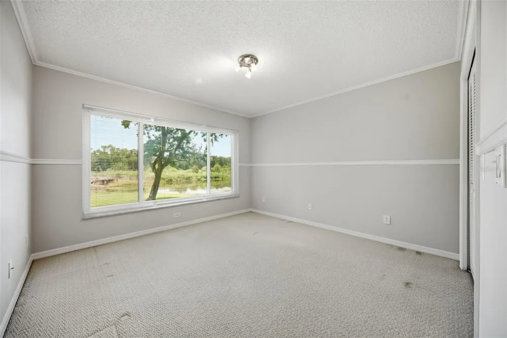 16416 WINDSOR PARK DRIVE Lutz, FL 33549