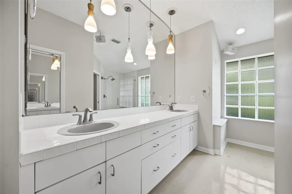 16416 WINDSOR PARK DRIVE Lutz, FL 33549