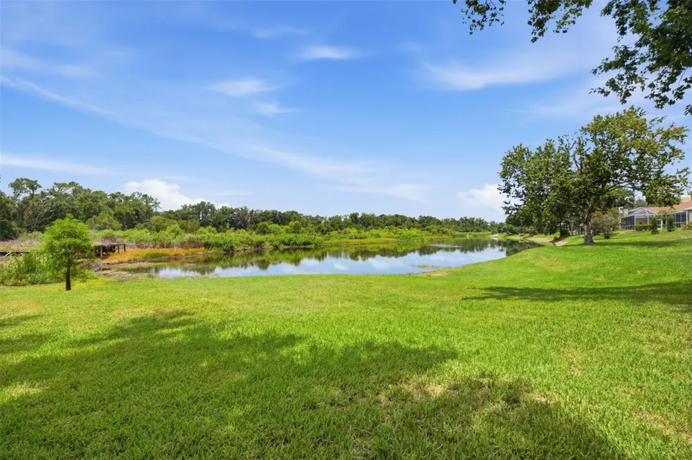 16416 WINDSOR PARK DRIVE Lutz, FL 33549