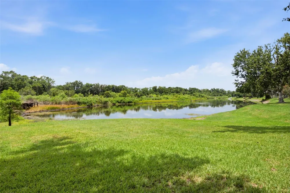 16416 WINDSOR PARK DRIVE Lutz, FL 33549