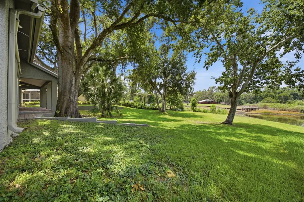 16416 WINDSOR PARK DRIVE Lutz, FL 33549