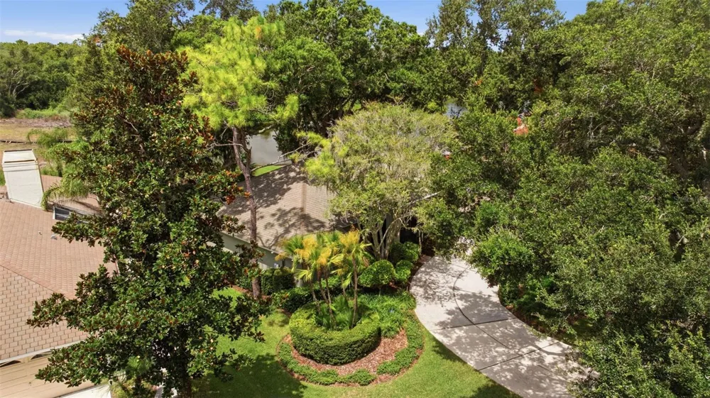 16416 WINDSOR PARK DRIVE Lutz, FL 33549