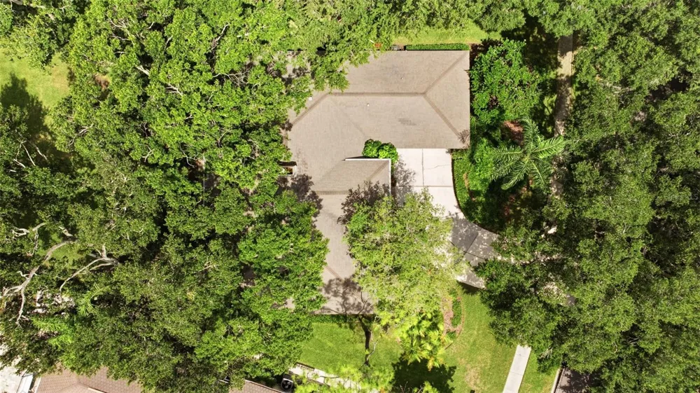 16416 WINDSOR PARK DRIVE Lutz, FL 33549