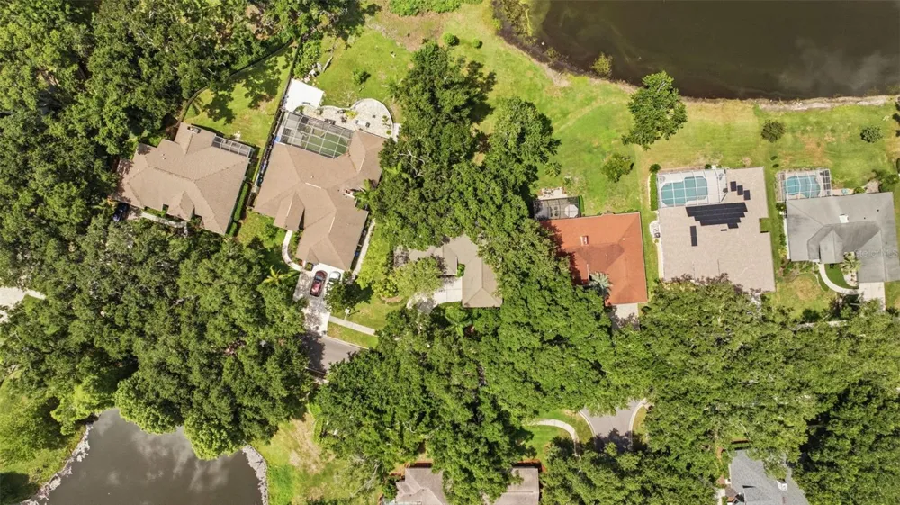 16416 WINDSOR PARK DRIVE Lutz, FL 33549