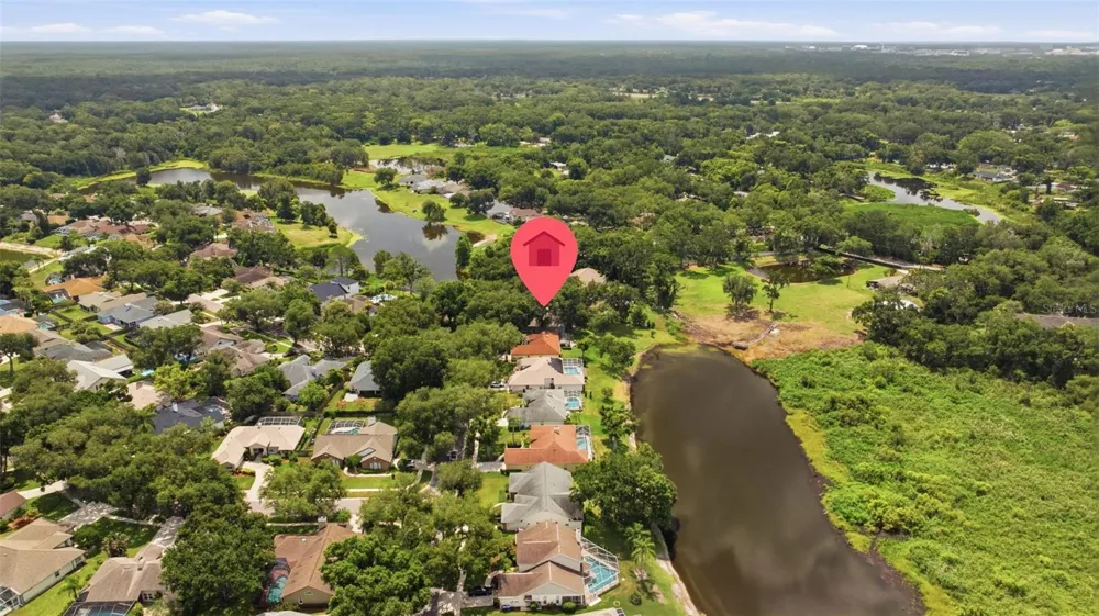 16416 WINDSOR PARK DRIVE Lutz, FL 33549