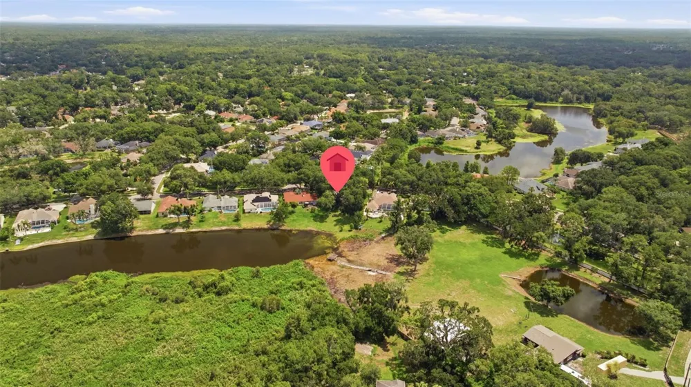 16416 WINDSOR PARK DRIVE Lutz, FL 33549