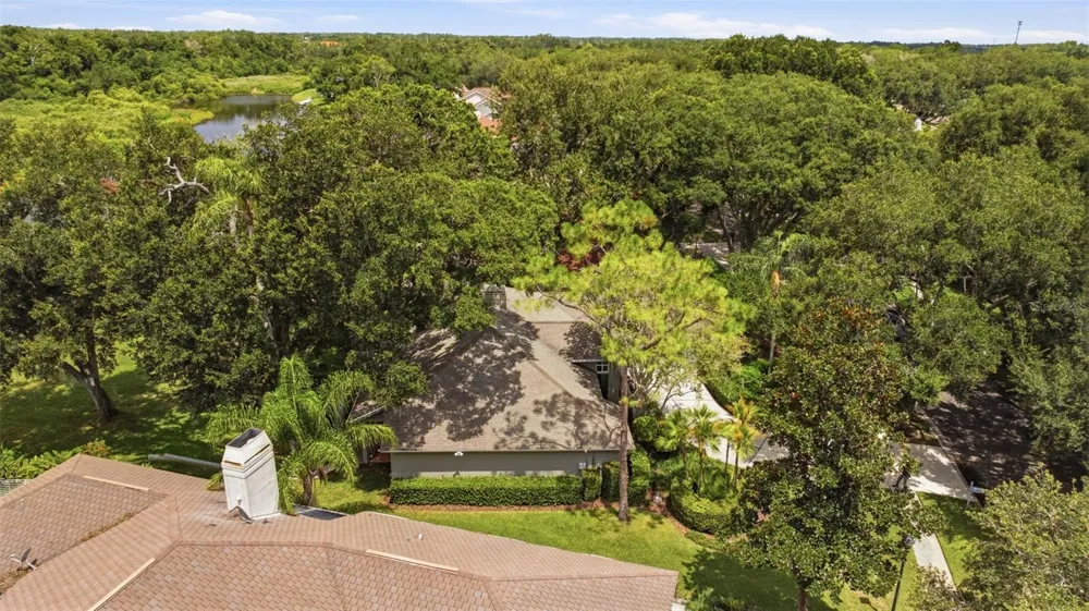 16416 WINDSOR PARK DRIVE Lutz, FL 33549