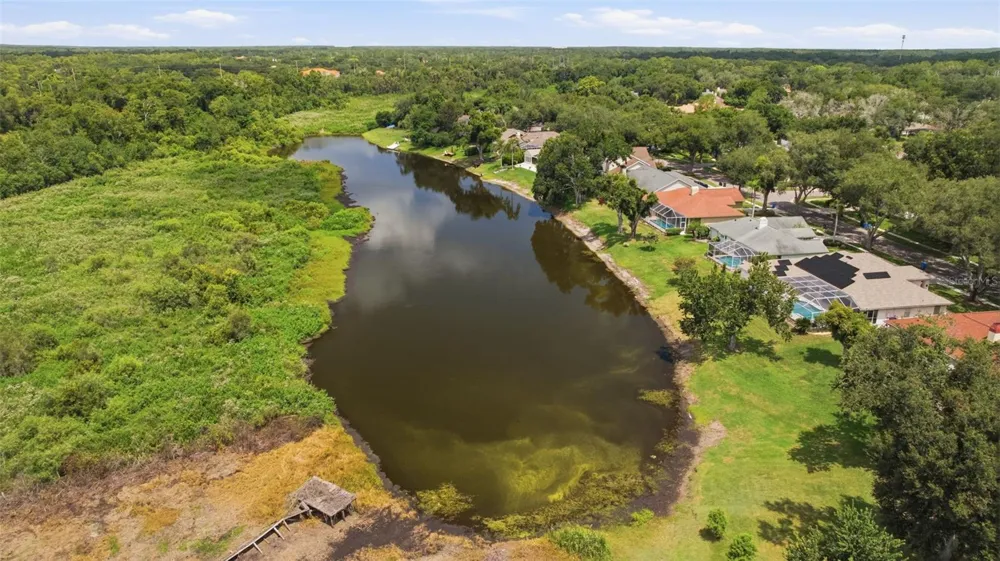 16416 WINDSOR PARK DRIVE Lutz, FL 33549