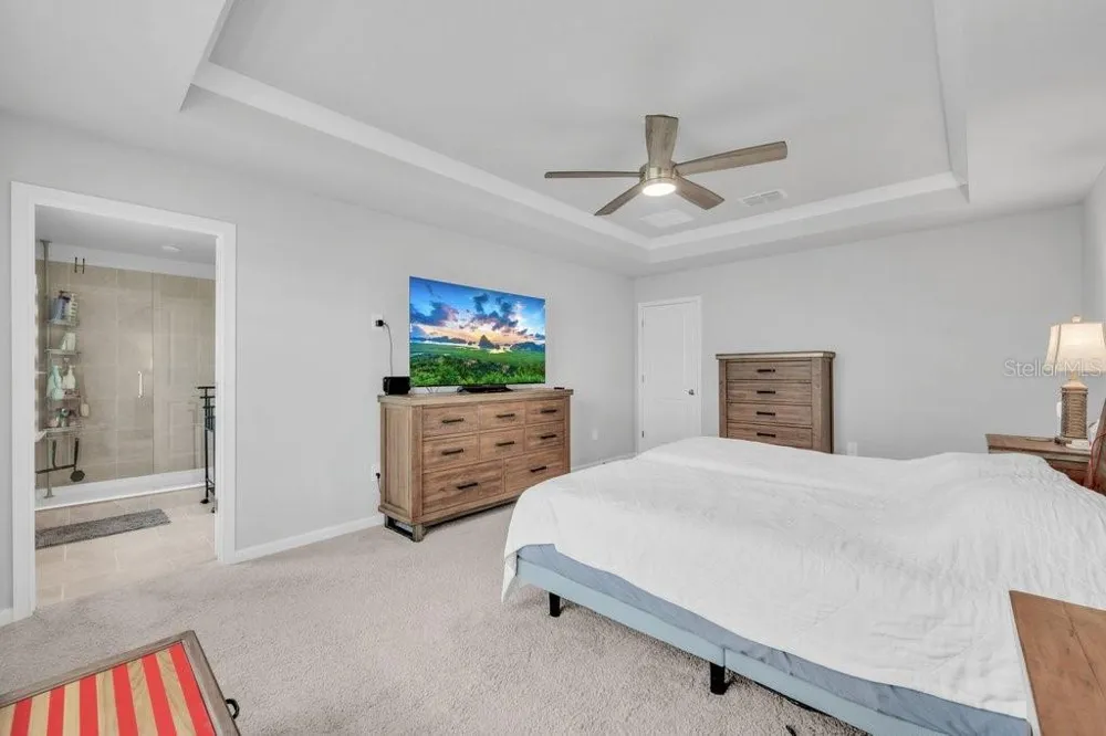 3463 TIMBER CROSSING AVENUE Brandon, FL 33511