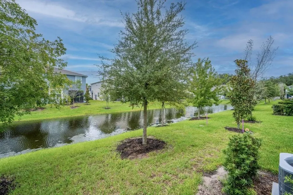3463 TIMBER CROSSING AVENUE Brandon, FL 33511