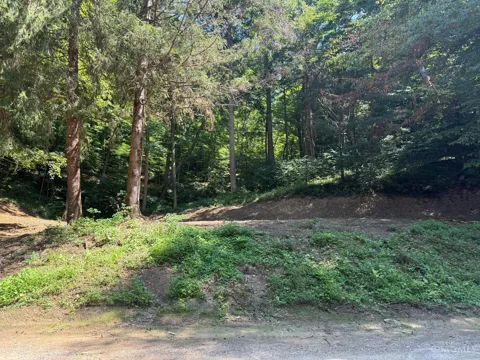 31700 Dixon Mill Road