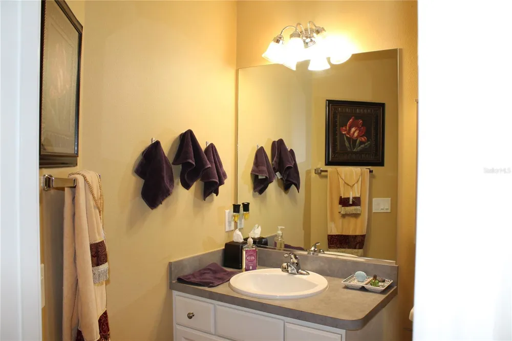 2440 KATE HILL STREET The Villages, FL 32162