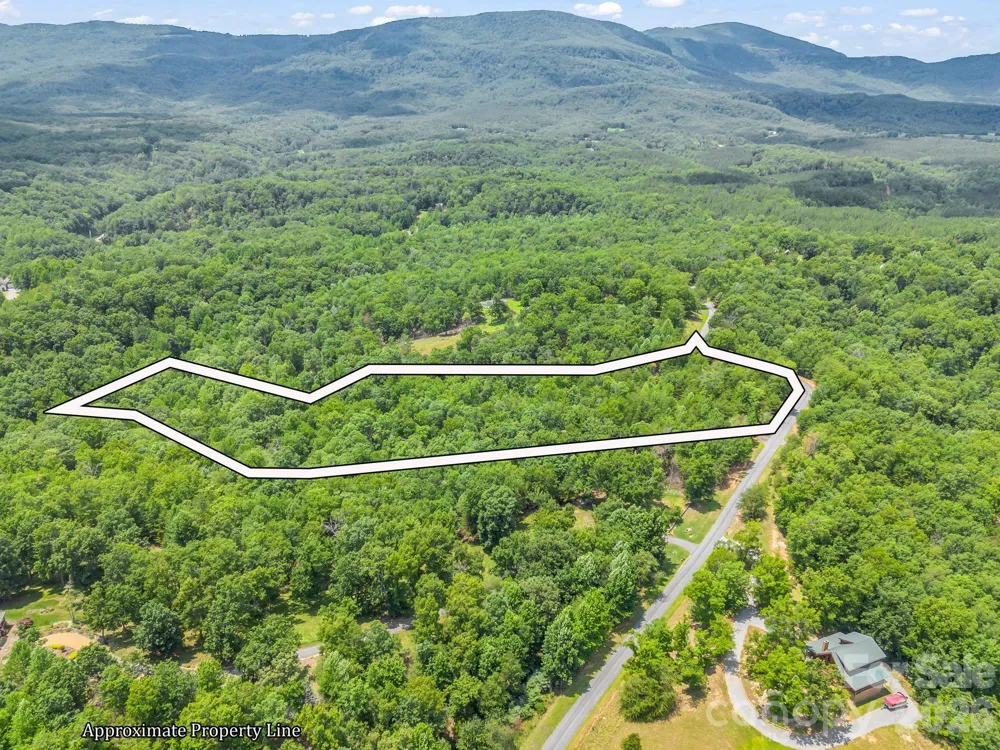 0 North Park Lane #33 Mill Spring, NC 28756