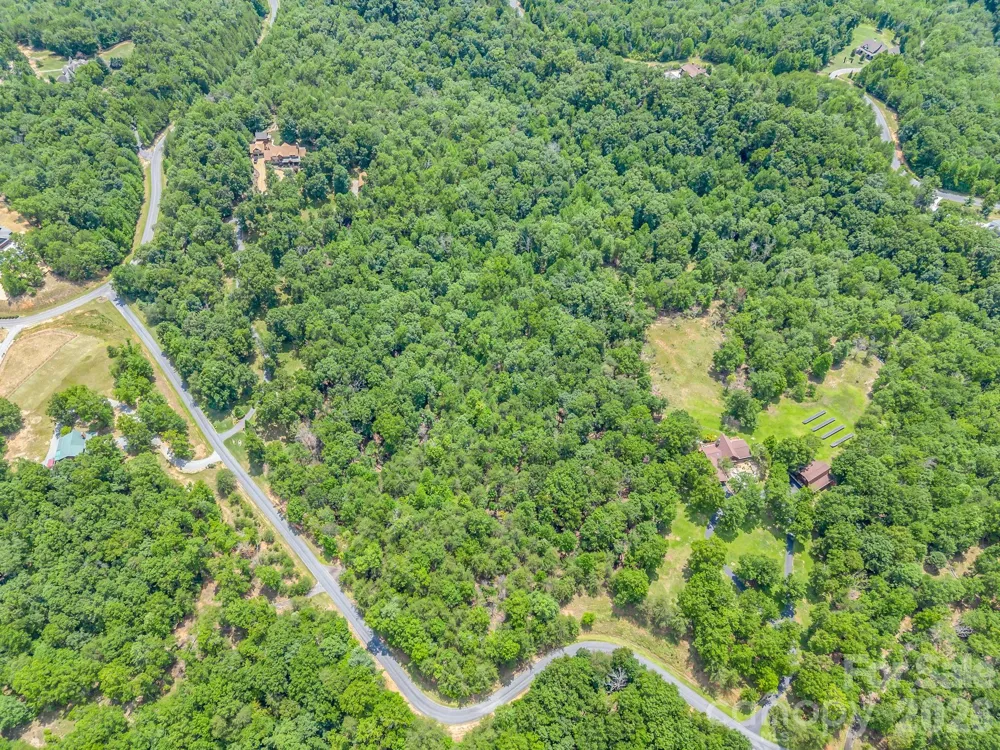 0 North Park Lane #33 Mill Spring, NC 28756
