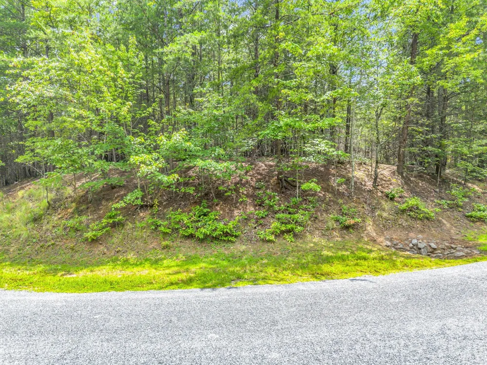 0 North Park Lane #33 Mill Spring, NC 28756