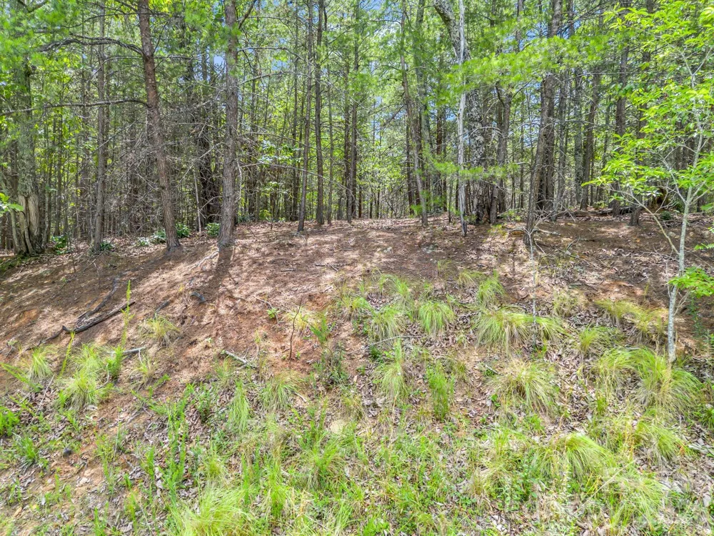 0 North Park Lane #33 Mill Spring, NC 28756