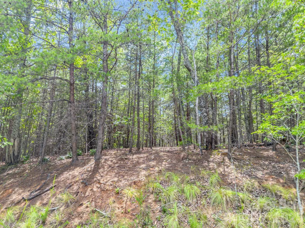 0 North Park Lane #33 Mill Spring, NC 28756