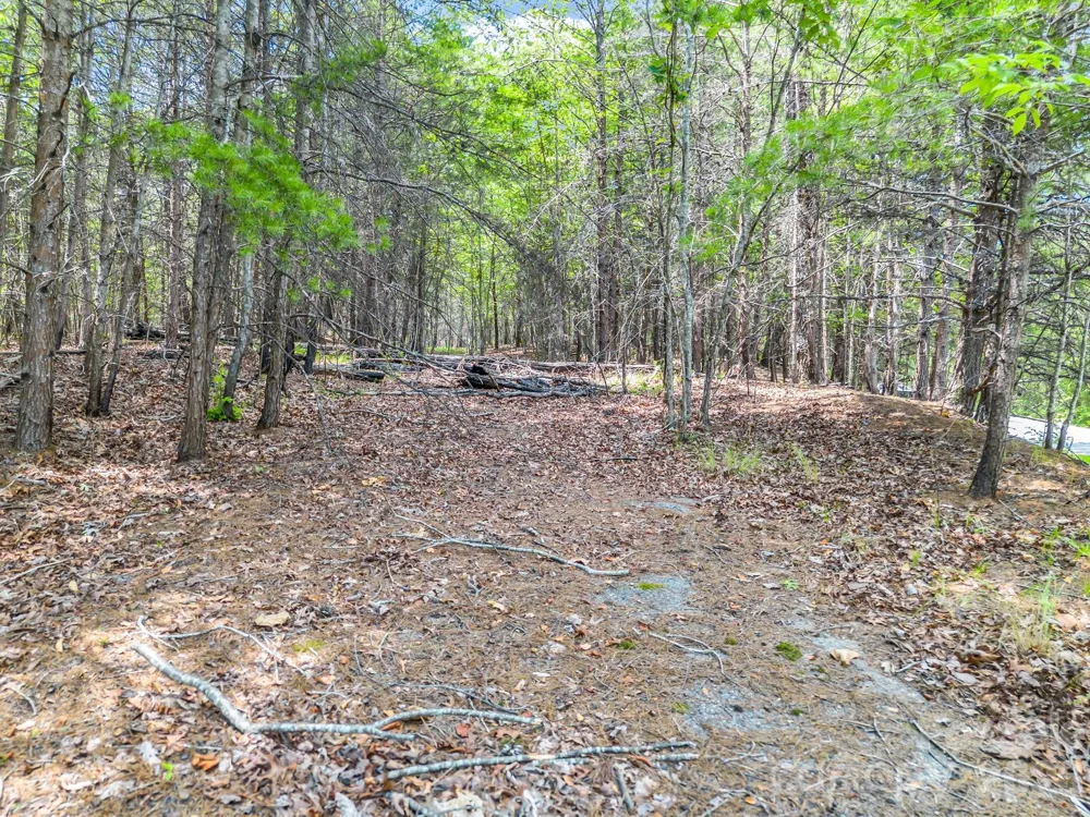 0 North Park Lane #33 Mill Spring, NC 28756