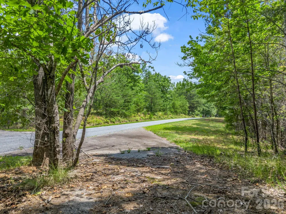 0 North Park Lane #33 Mill Spring, NC 28756