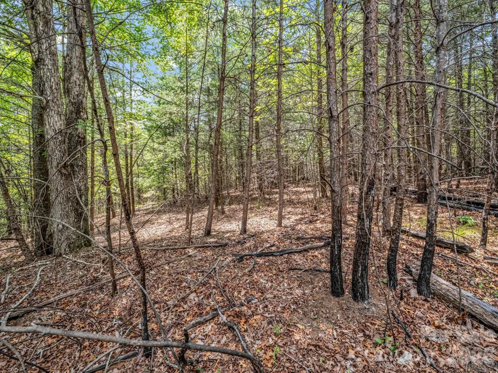 0 North Park Lane #33 Mill Spring, NC 28756