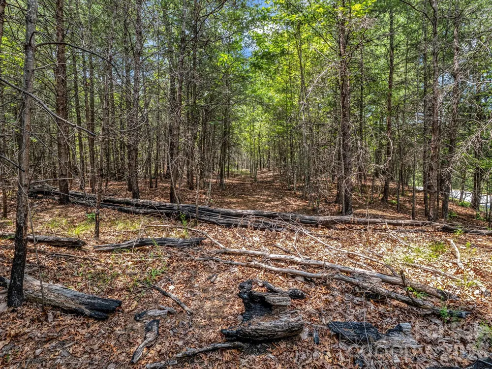 0 North Park Lane #33 Mill Spring, NC 28756