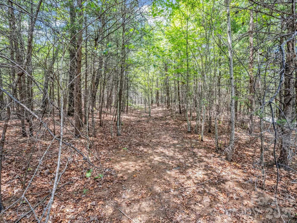 0 North Park Lane #33 Mill Spring, NC 28756