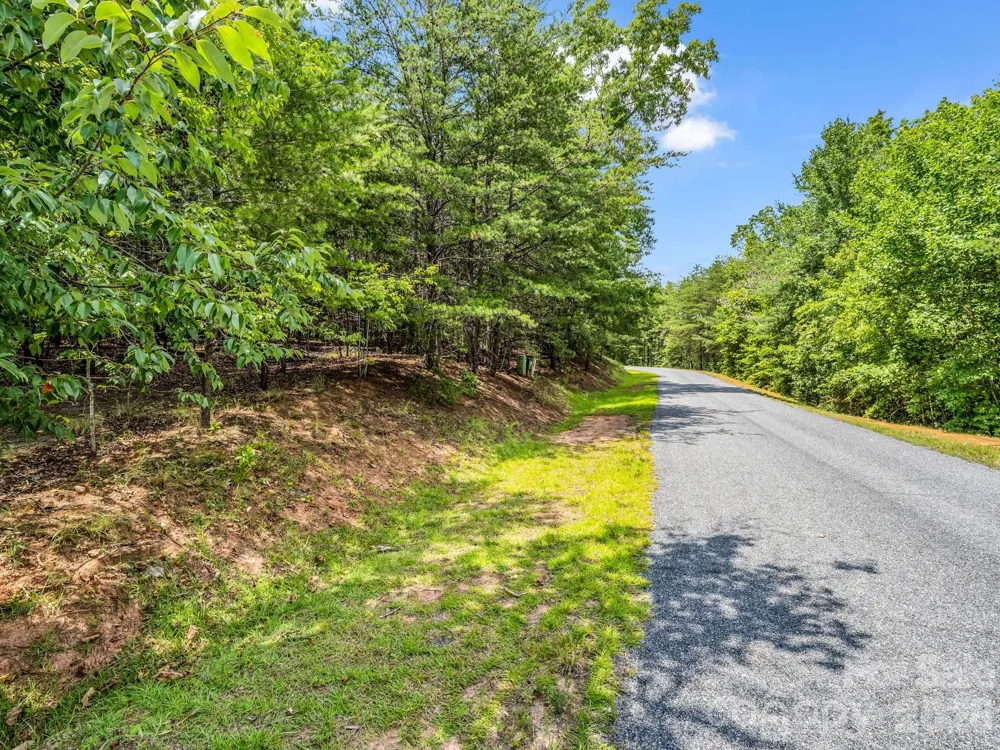 0 North Park Lane #33 Mill Spring, NC 28756