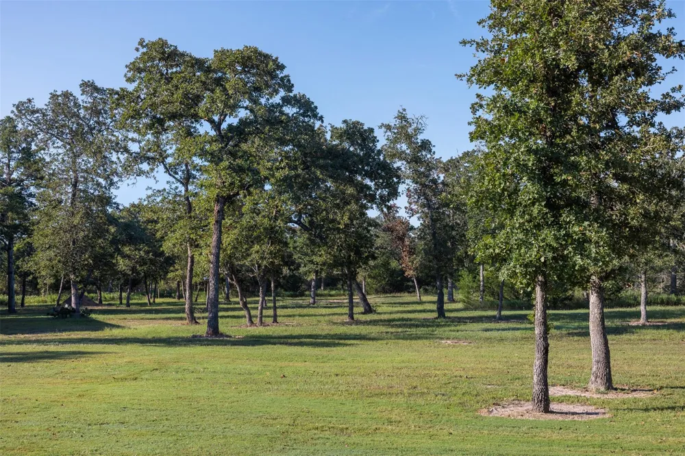 7541 Halamicek Loop Fayetteville, TX 78940