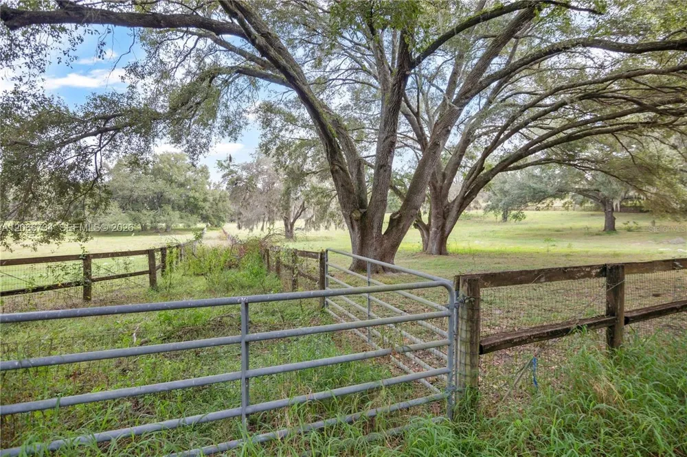 LAKE ELLA RD Other City - In The State Of Florida, FL 34731