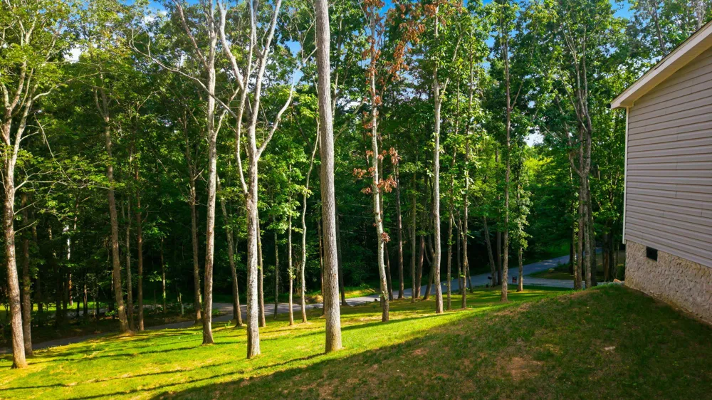 923 Morrison Road Decatur, TN 37322