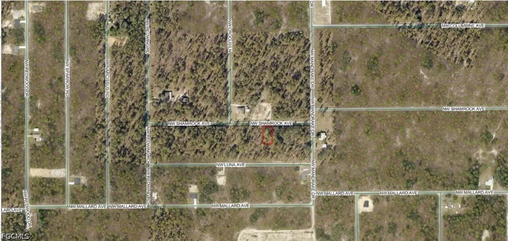 NW Shamrock Avenue Dunnellon, FL 34431