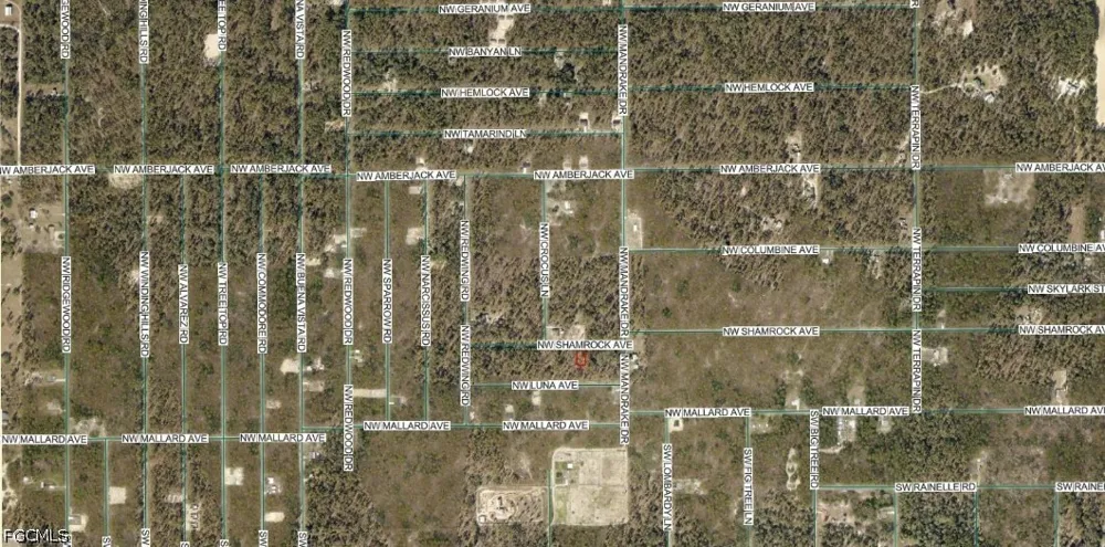 NW Shamrock Avenue Dunnellon, FL 34431