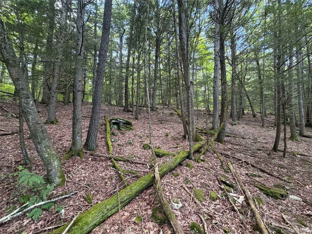0 Laurie Lane Cairo, NY 12413
