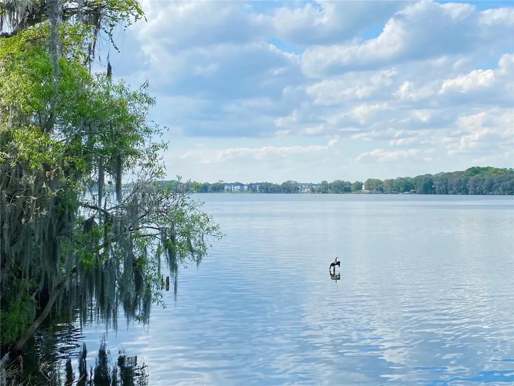 2307 KESTREL PERCH PLACE Winter Park, FL 32792