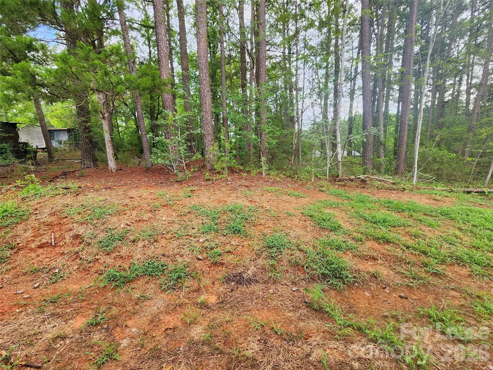 217 Carlie Street Norwood, NC 28128