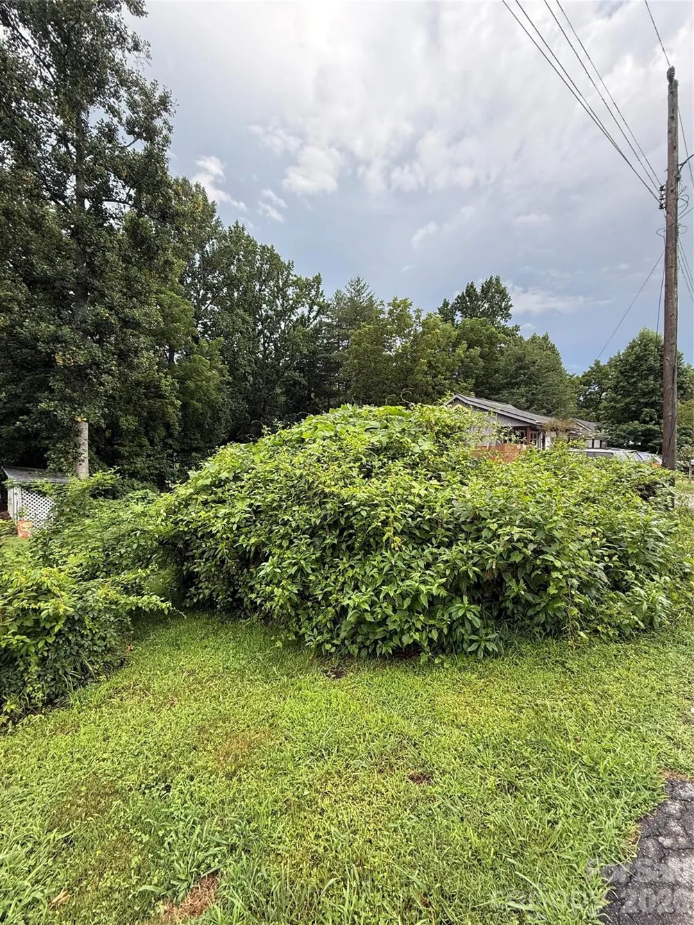 00000 Duckworth Avenue #1 Brevard, NC 28712
