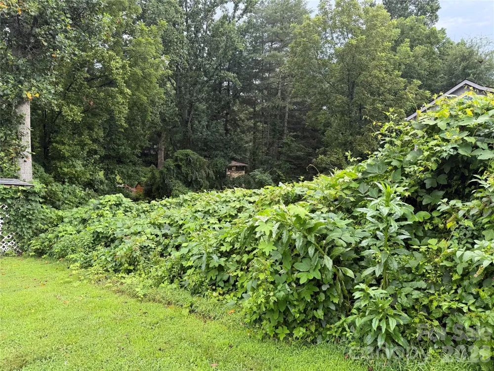 00000 Duckworth Avenue #1 Brevard, NC 28712